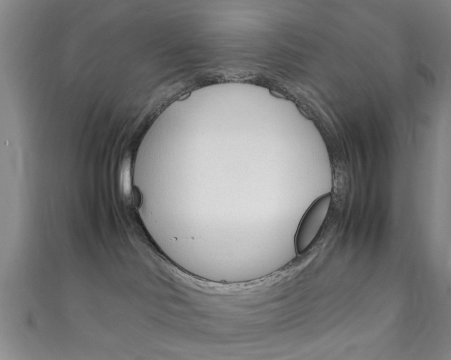 X0000111860046200907231140