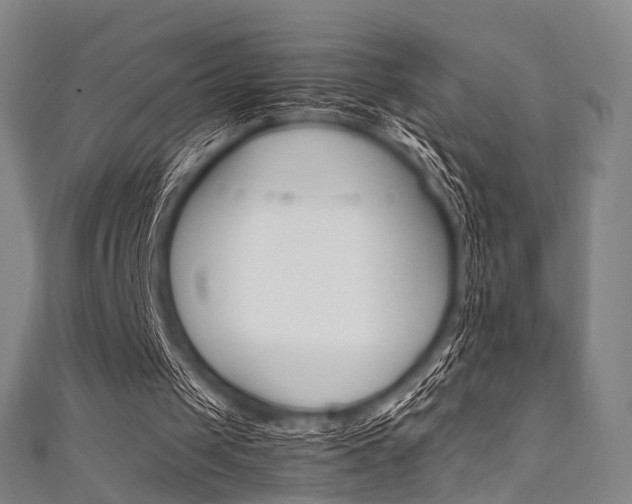 X0000111860049200907231139
