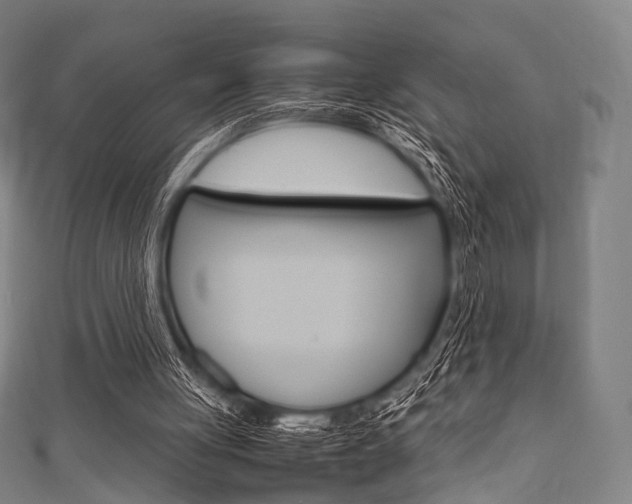 X0000111860051200907231139