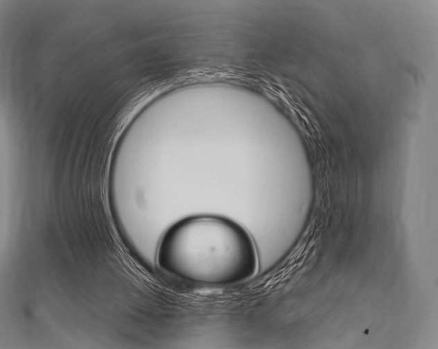 X0000111860052200907231139
