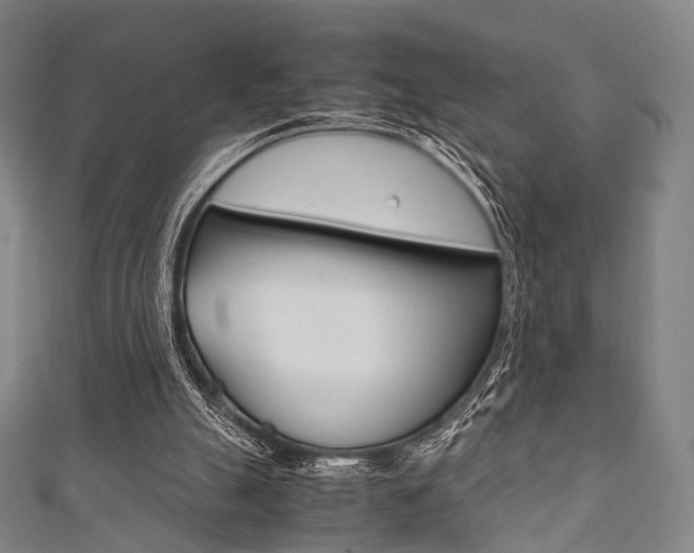 X0000111860055200907231139