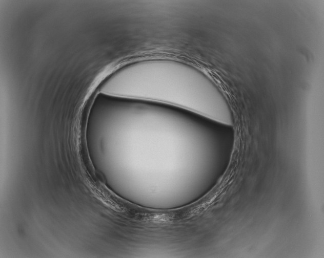 X0000111860056200907231139