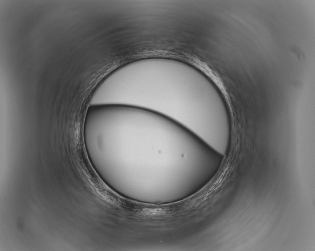 X0000111860057200907231139