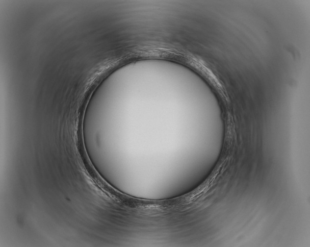 X0000111860058200907231139