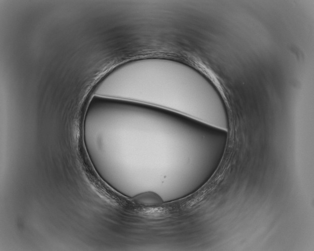 X0000111860059200907231139