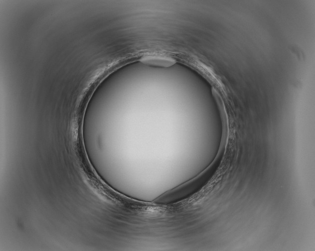X0000111860060200907231139