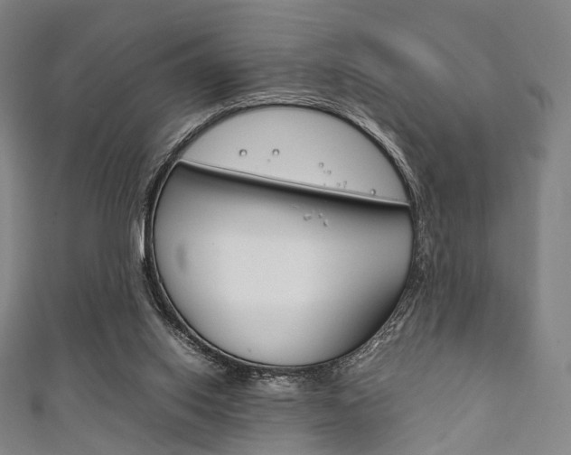 X0000111860062200907231139