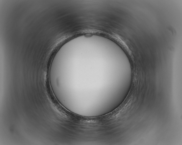 X0000111860063200907231139