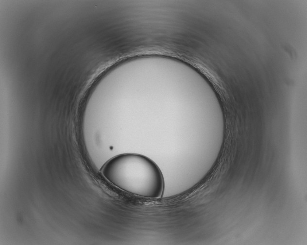 X0000111860064200907231139