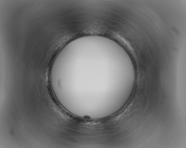 X0000111860065200907231139