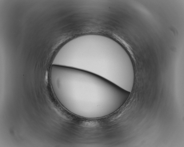 X0000111860067200907231139