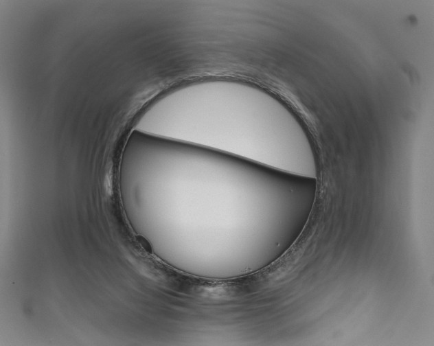 X0000111860068200907231139