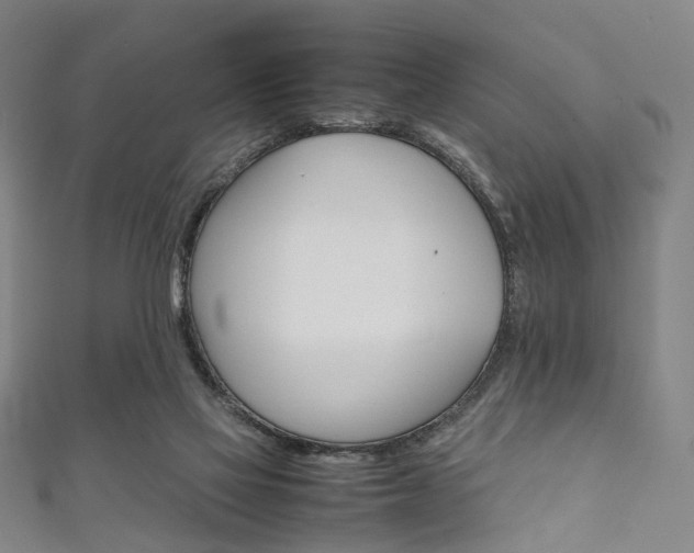 X0000111860069200907231139