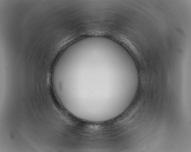 X0000111860071200907231139