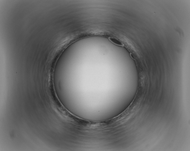X0000111860072200907231139