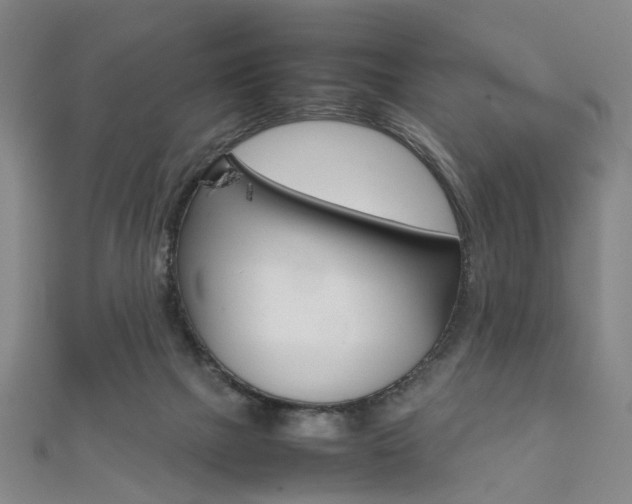 X0000111860073200907231139