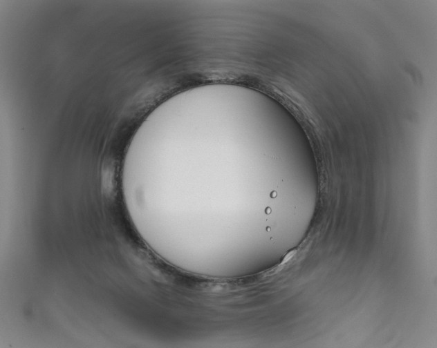 X0000111860074200907231139