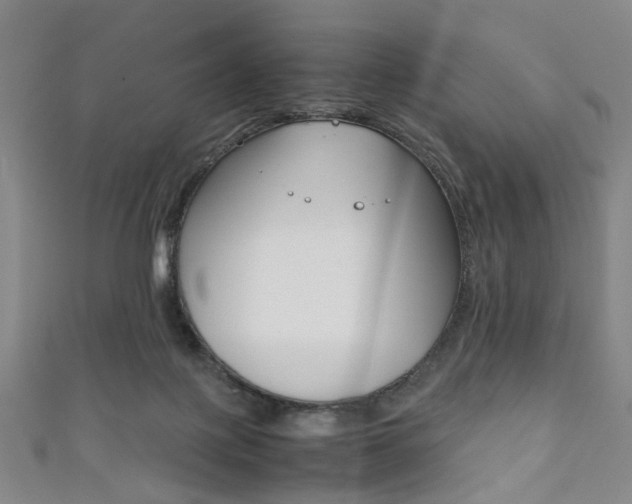 X0000111860075200907231139
