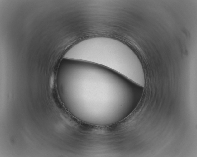 X0000111860076200907231139