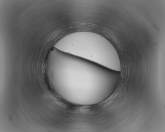 X0000111860078200907231139