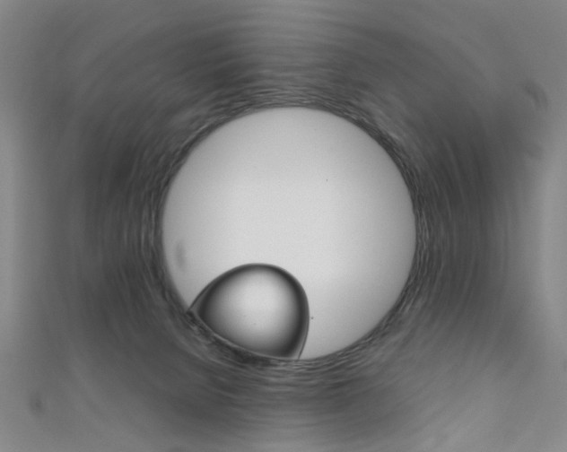 X0000111860080200907231139