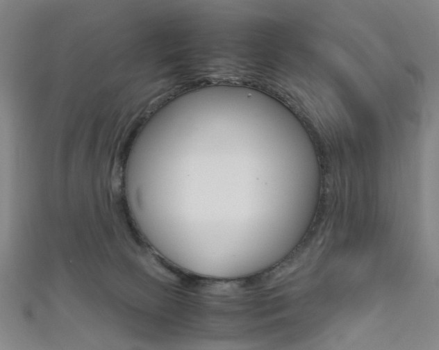 X0000111860081200907231139