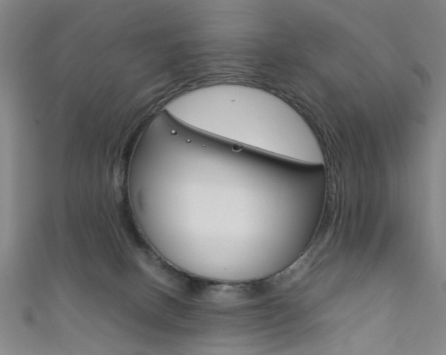 X0000111860082200907231139