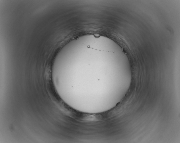 X0000111860083200907231139