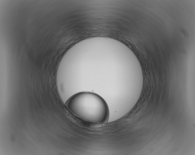 X0000111860084200907231139