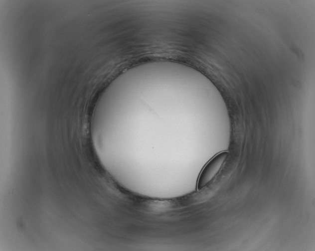 X0000111860085200907231139