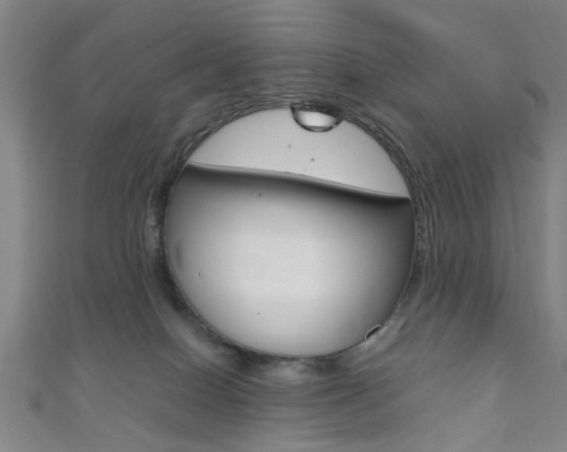 X0000111860086200907231139