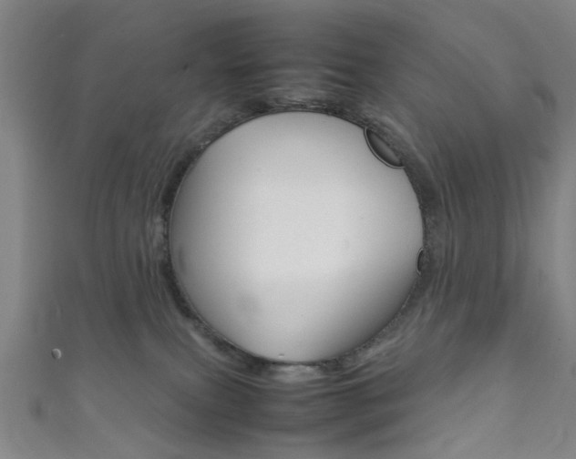 X0000111860087200907231139