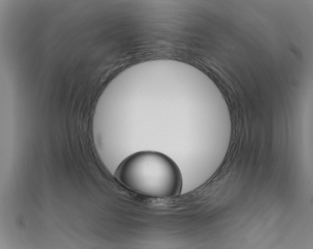 X0000111860088200907231139