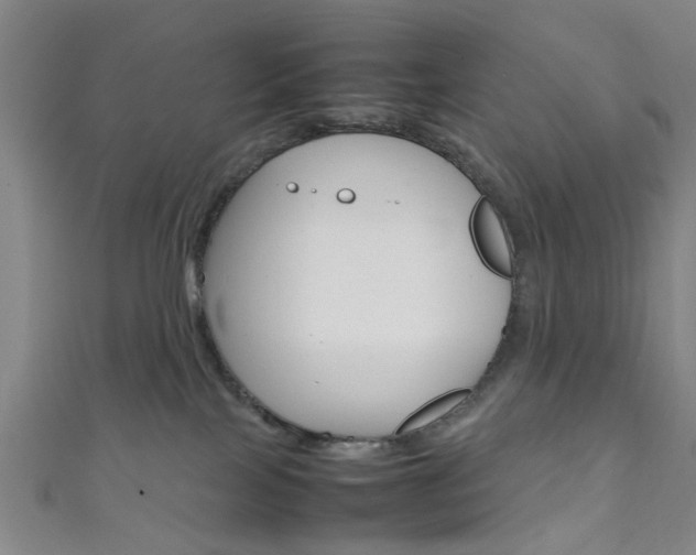 X0000111860089200907231139