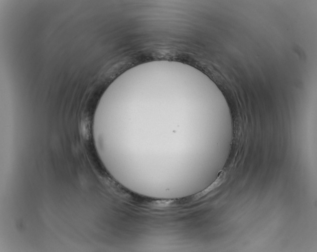 X0000111860090200907231139