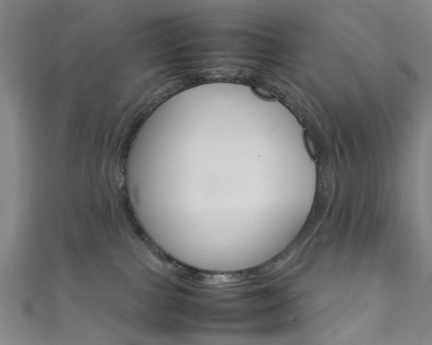 X0000111860091200907231139