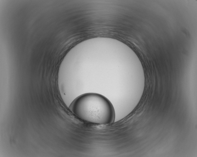X0000111860092200907231139
