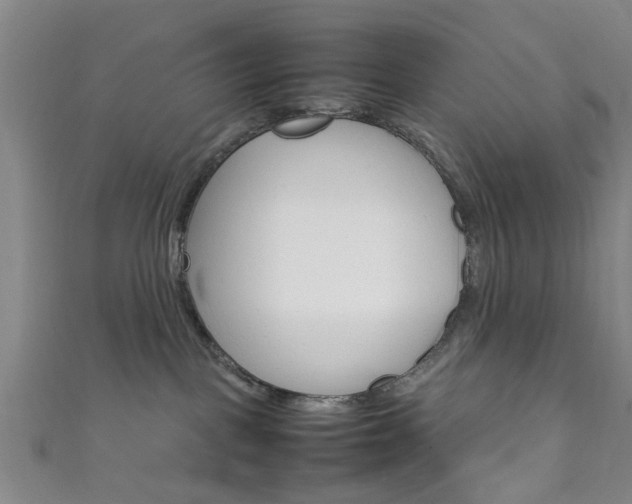 X0000111860093200907231139