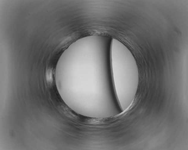 X0000111860094200907231139