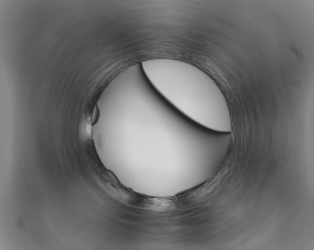 X0000111860095200907231139