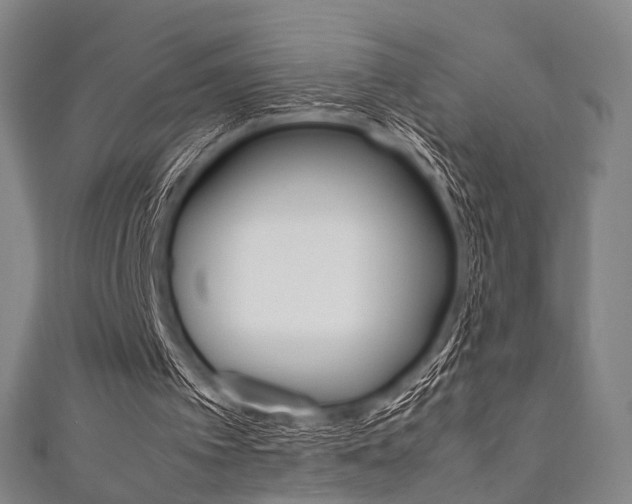 X0000111860097200907231139