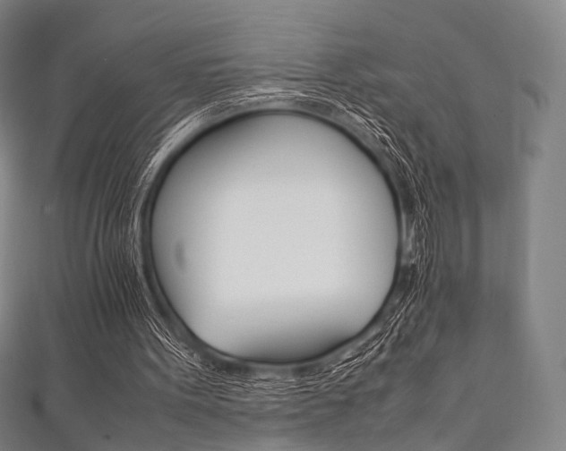 X0000111860099200907231139