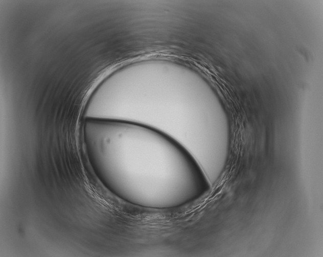X0000111860100200907231139