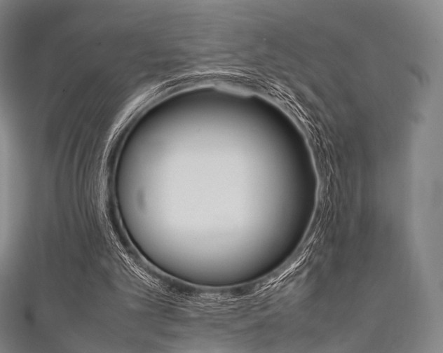 X0000111860101200907231139