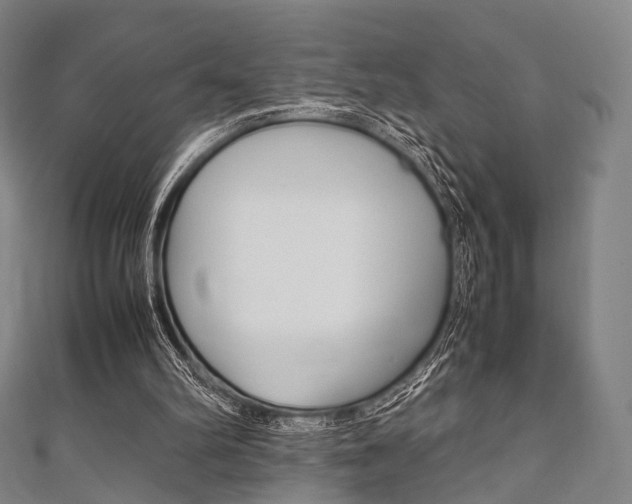 X0000111860102200907231139