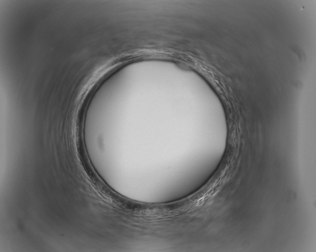 X0000111860103200907231139