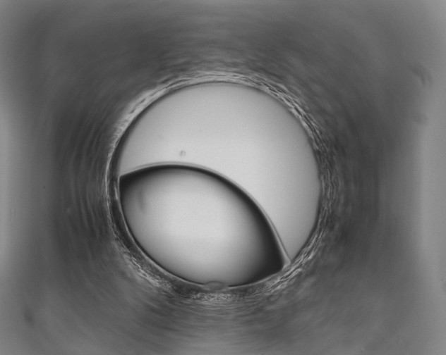 X0000111860104200907231139