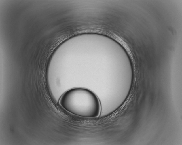 X0000111860105200907231139