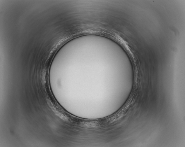 X0000111860106200907231139