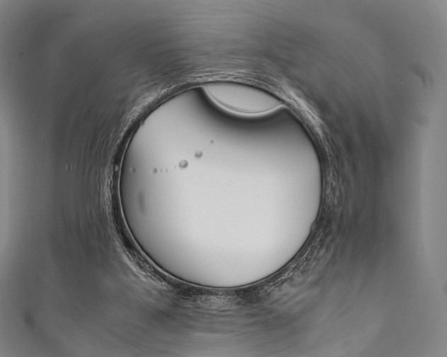 X0000111860107200907231139